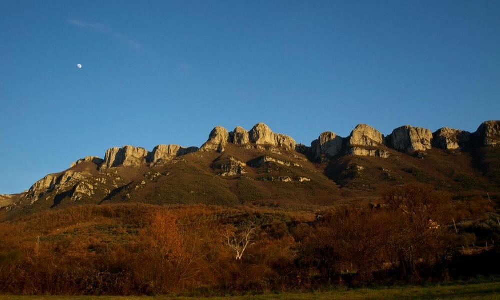 Agriturismo Al Gallo Verde Altavilla Silentina Kültér fotó