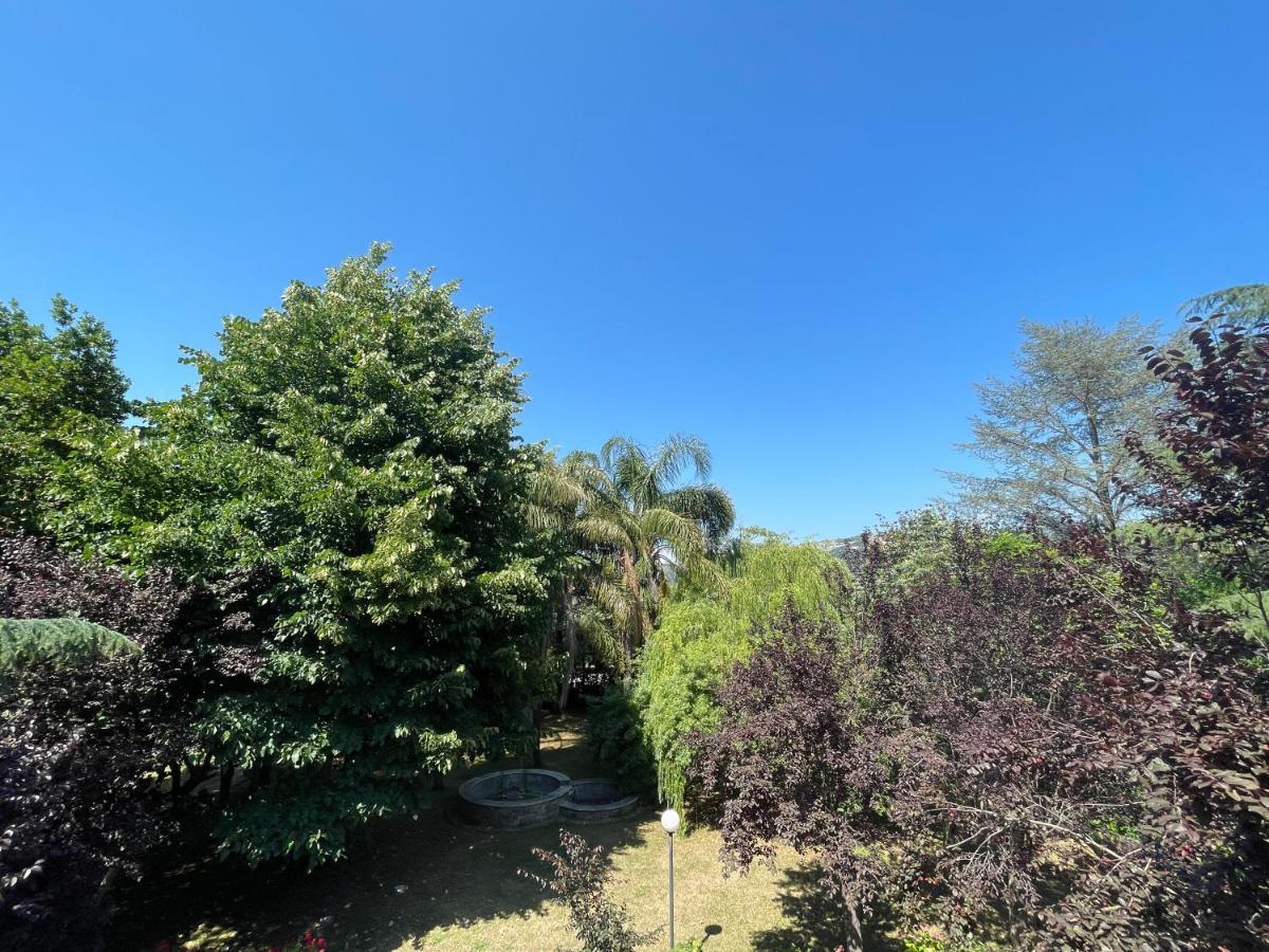 Agriturismo Al Gallo Verde Altavilla Silentina Kültér fotó