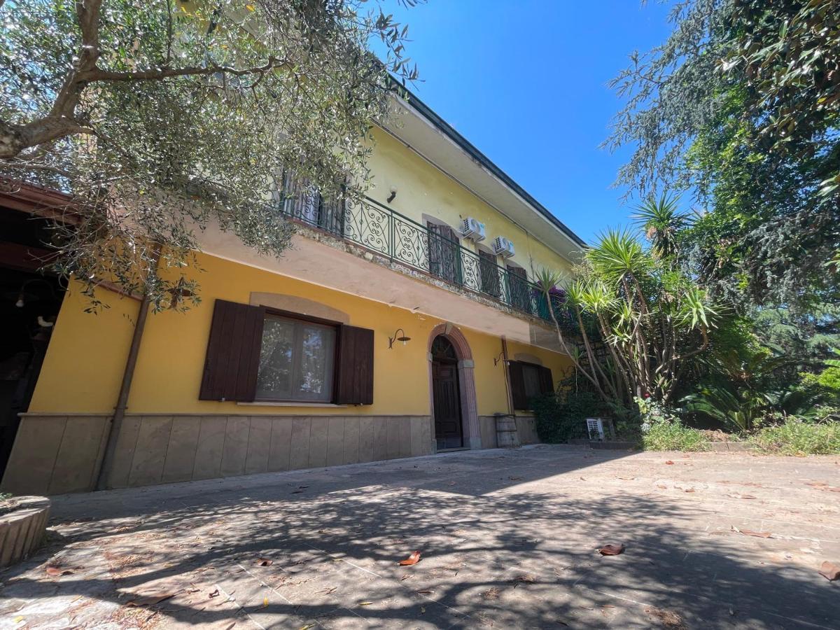Agriturismo Al Gallo Verde Altavilla Silentina Kültér fotó